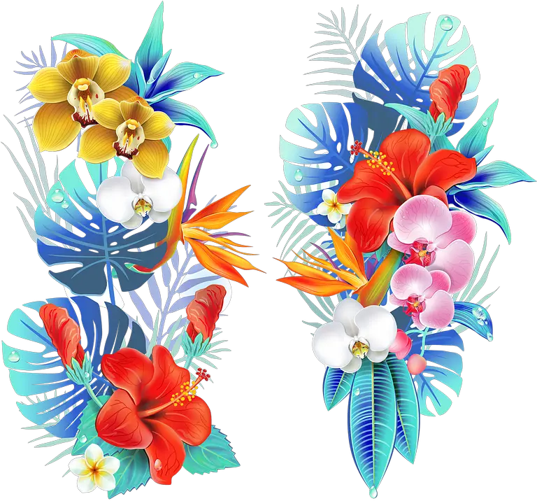  Tropical Medellin Flowers Fair Of Tropical Flower Vector Png Tropical Png