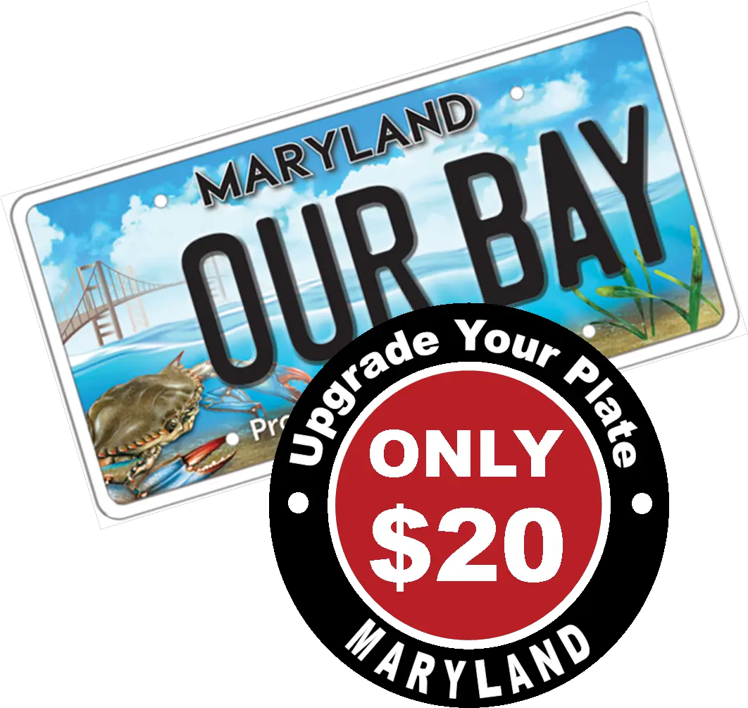  Bay Plate Chesapeake Bay Trust Maryland Tags Png Bay Bridge Icon