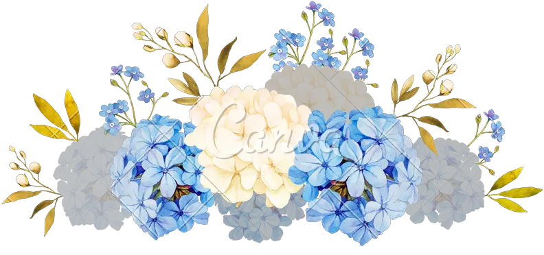  Blue Hydrangea Watercolor Blue Watercolor Flowers Free Png Hydrangea Png