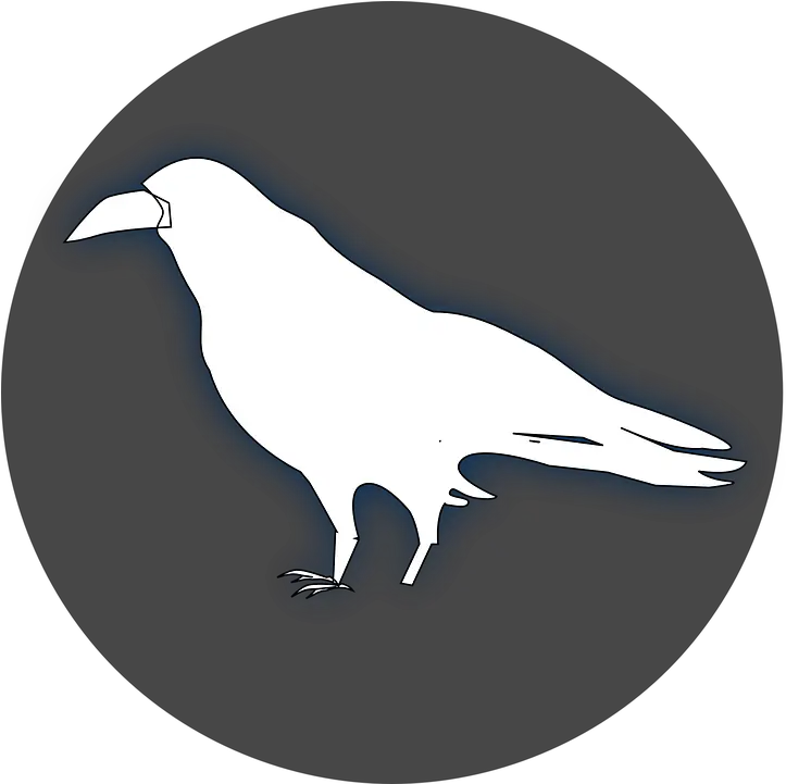  Raven Crow Bird Transparent White Raven Clipart Png Raven Silhouette Png