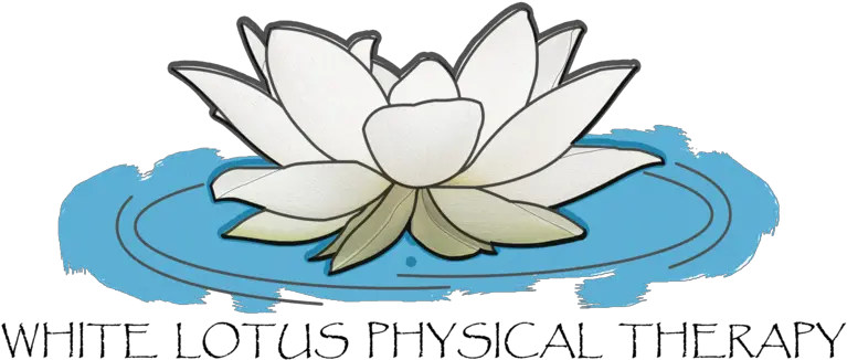  White Lotus Physical Therapy Sacred Lotus Png Lotus Png