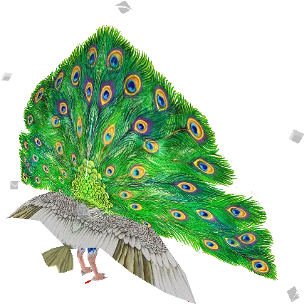  Pc Computer Bird Png Zoo Tycoon 2 Icon