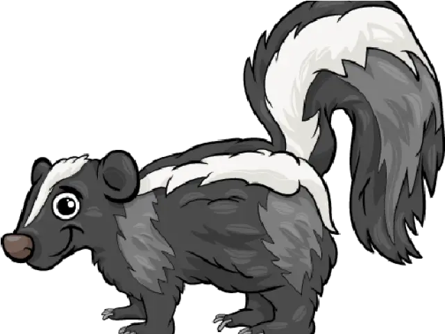  Spotted Skunk Cartoon Png Thing That Smell Bad Skunk Transparent