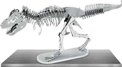  Tyrannosaurus Rex Skeleton Metal Earth T Rex Png Dinosaur Skull Png