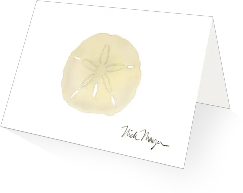  Sand Dollar Boxed Cards Sand Dollar Png Sand Dollar Png