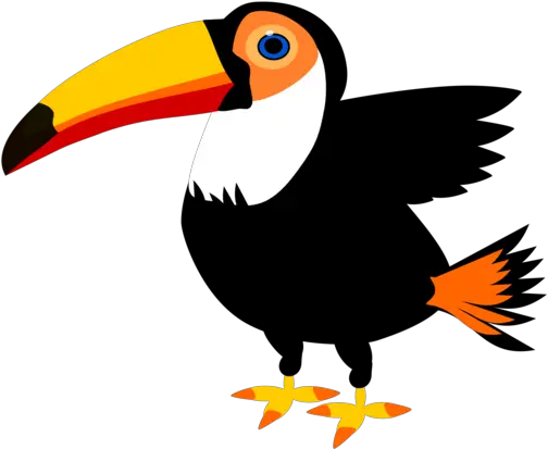  Hornbill Bird Toucan Png Clipart Clipart Toucan Png Toucan Png