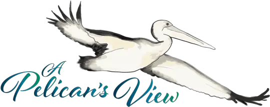  Welcome A Pelicanu0027s View White Pelican Png Pelicans Logo Png