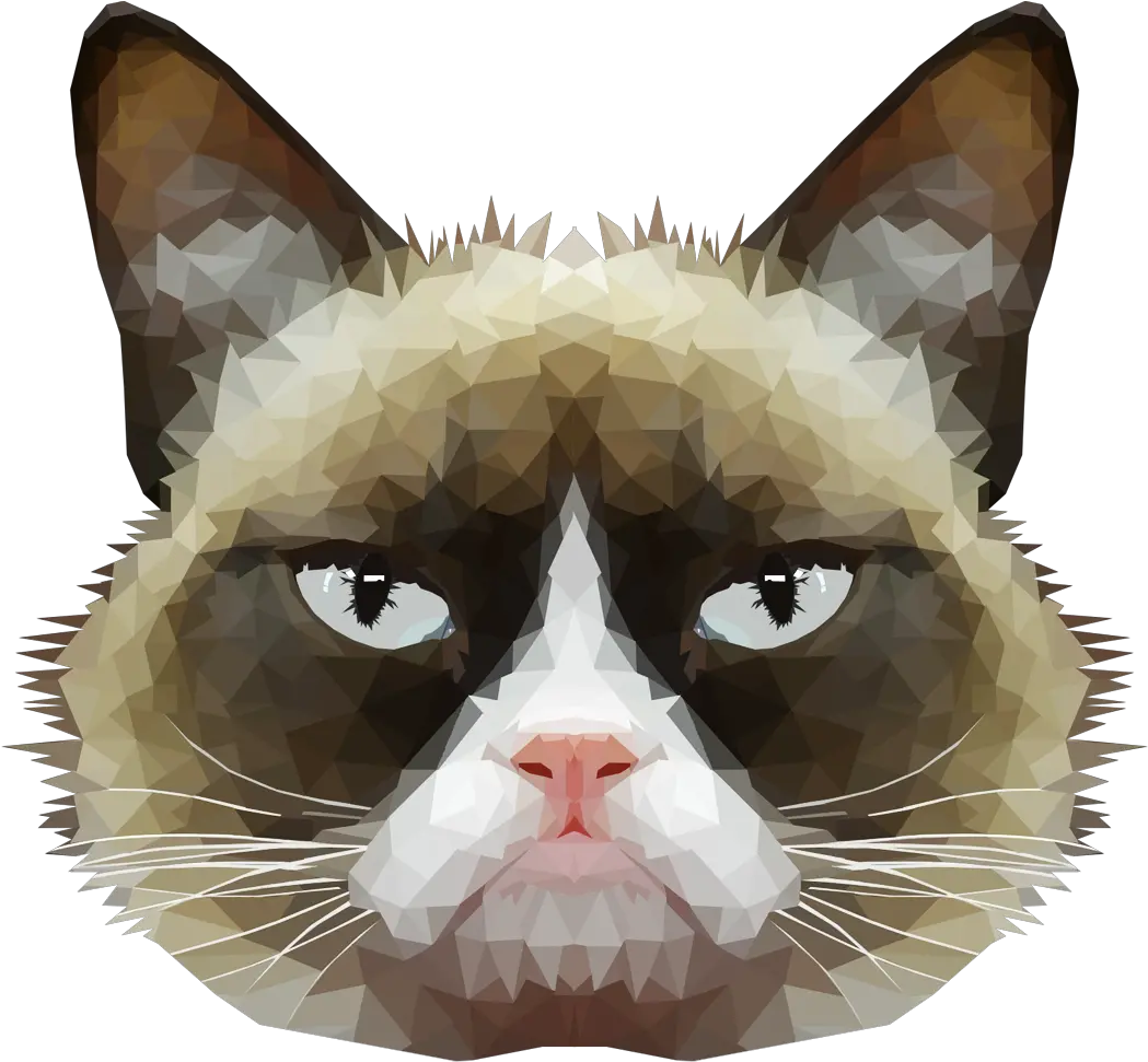  American Wirehair Grumpy Cat Whiskers Domestic Short Haired Png Png File Png Cat Head Cats Png