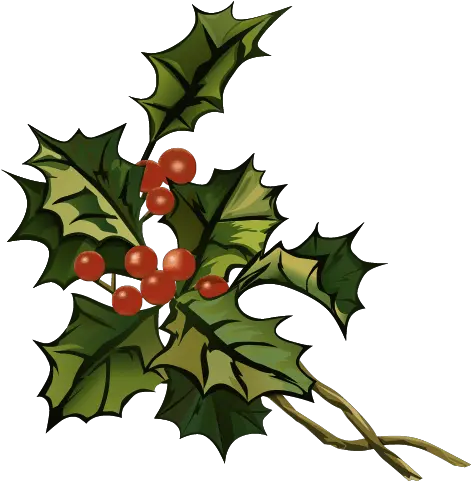  Mistletoe Left Ozark Radio News Christmas Card Png Mistletoe Png