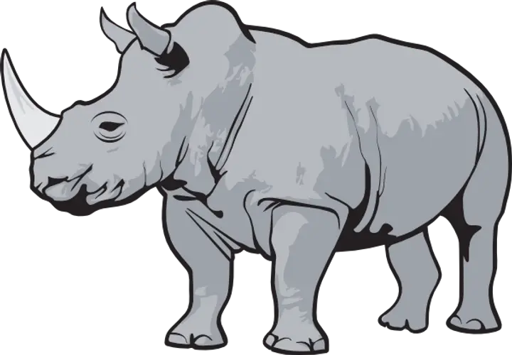  Rhino Clipart Png Rhino Clipart Rhino Png