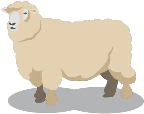  Sheep Wool Animal Sheep Wool Png Sheep Png