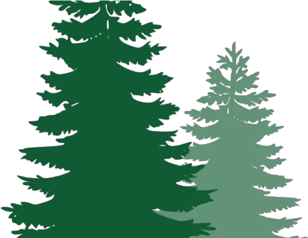  Pine Trees Cliparts Pine Tree Silhouette Png Pine Png