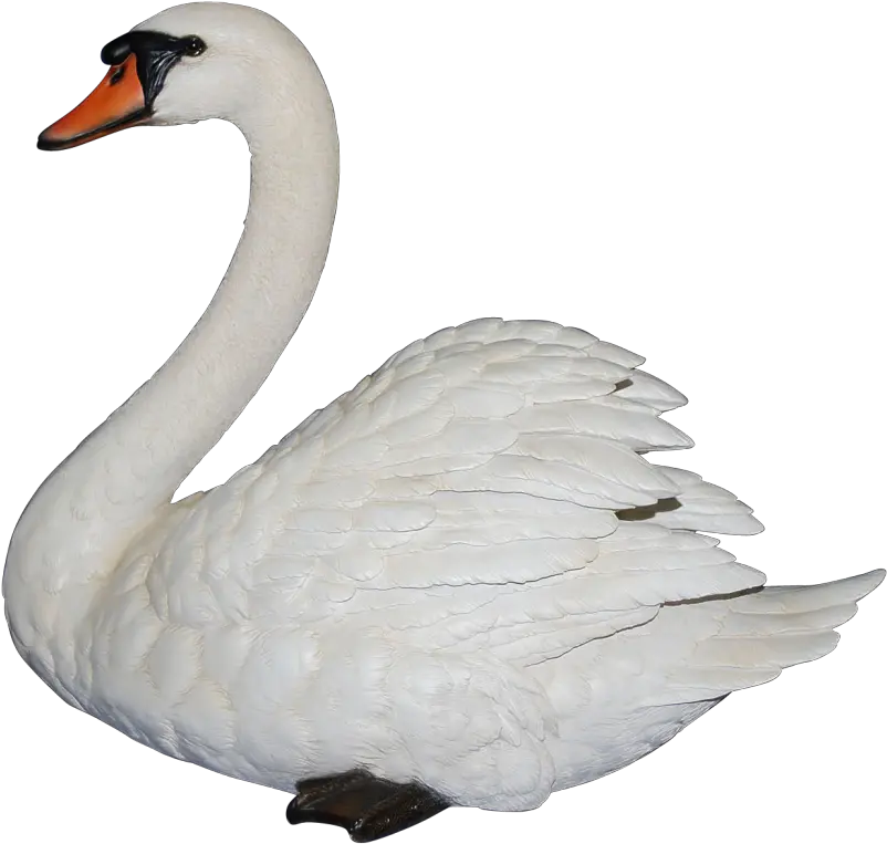  Swan Png Clipart Clipart Swan Swan Png