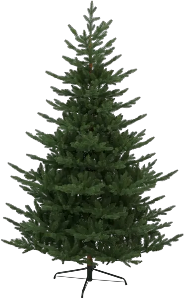  Christmas Tree Branch Pine Tree On White Transparent Png Julgran Naturligt Utseende Pine Tree Branch Png