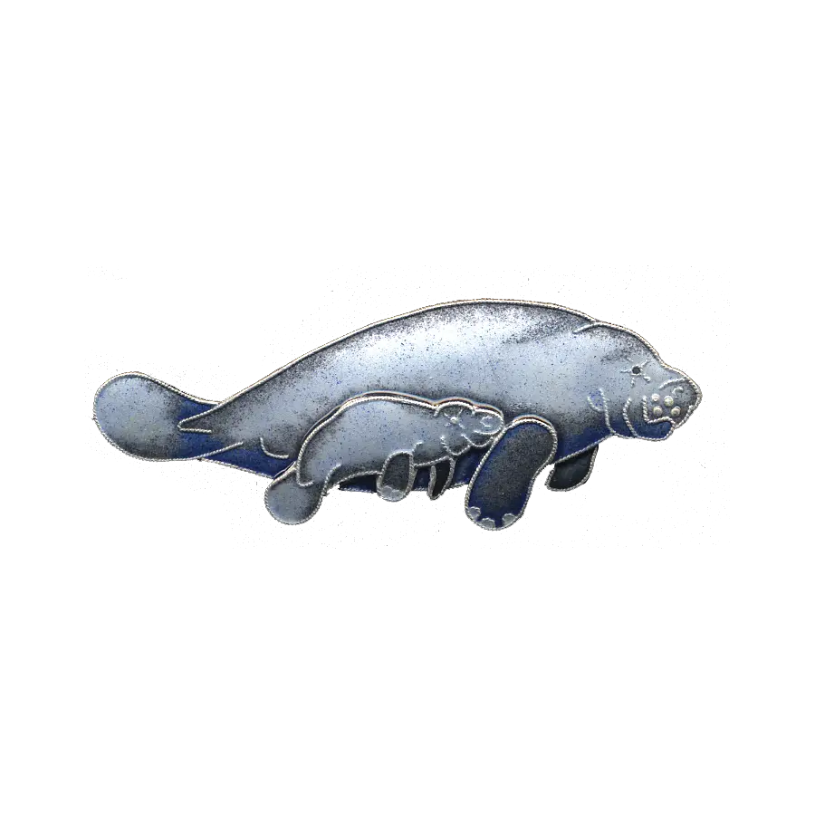  Download Manatee Calf Pin Blue Whale Png Manatee Png