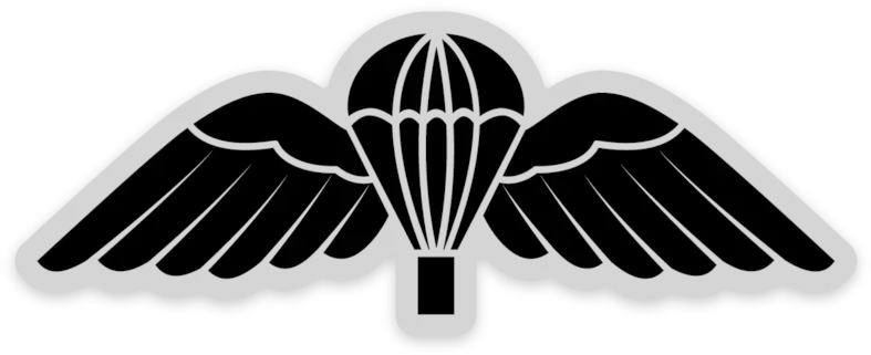  British Para Wings Black Illustration Png Wings Transparent Background