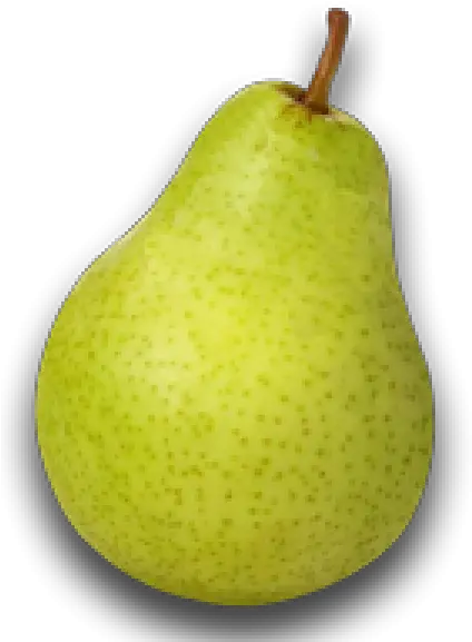  Pear Fruit Watermelon Pera Png Download 600600 Free Png Pear Pear Png