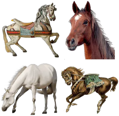  Horses Transparent Png Images Stickpng Horse Transparent Background Horse Transparent Png