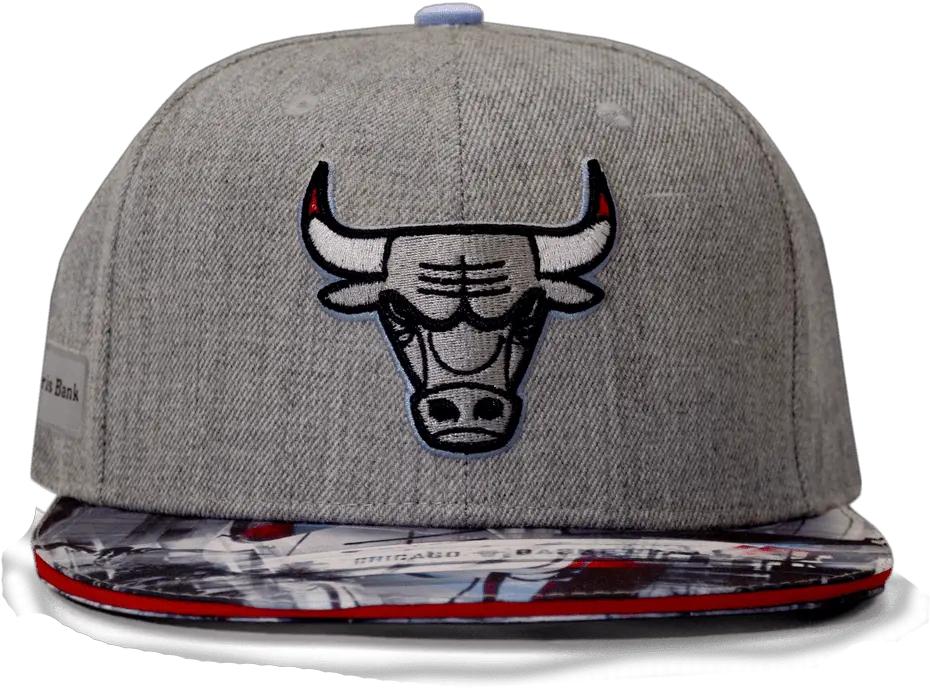  Chicago Artist Hat Series 1718 Chicago Bulls Chicago Bulls Hats Png Bull Bear Icon