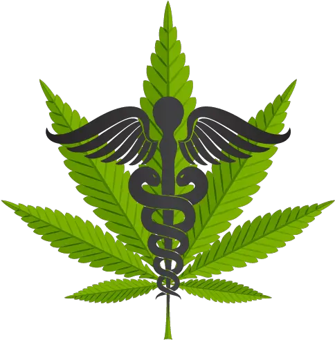  Cannabis Doctor Of Miami U2013 Medical Marijuana In Marijuana Leaf Png Cannabis Leaf Png