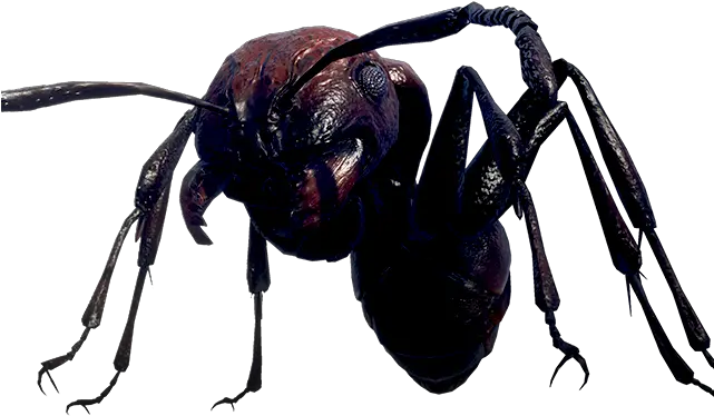  Earth Defense Force Iron Rain Hornet Png Ant Png