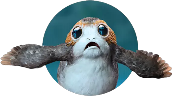  Magic Leap Star Wars Porg Png Porg Png