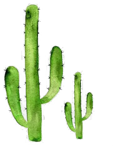  Sticker Art Cactaceae Succulent Plant Redbubble Cactus Png Watercolor Cactus Drawing Cactus Clipart Png