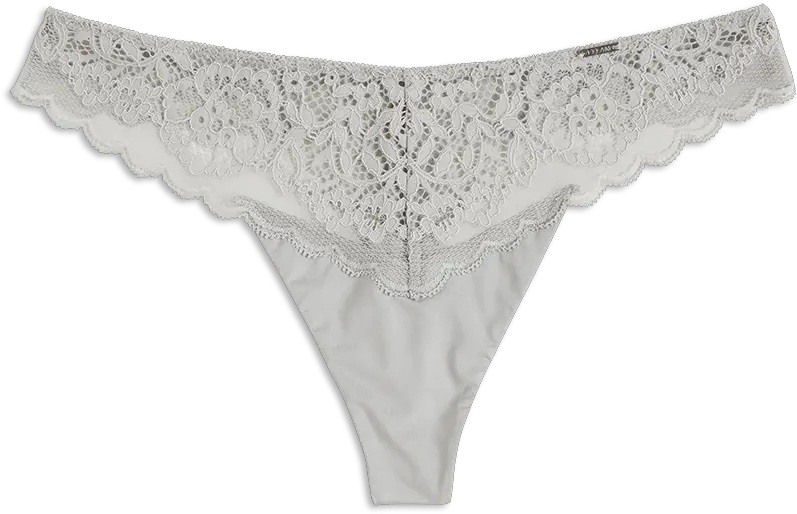  Thong Transparent Png Image Panties Thong Png