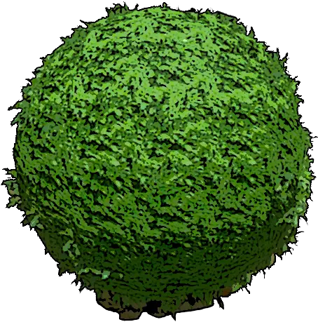  Round Hedge Mobile Official Ark Survival Evolved Wiki Circle Png Hedge Png