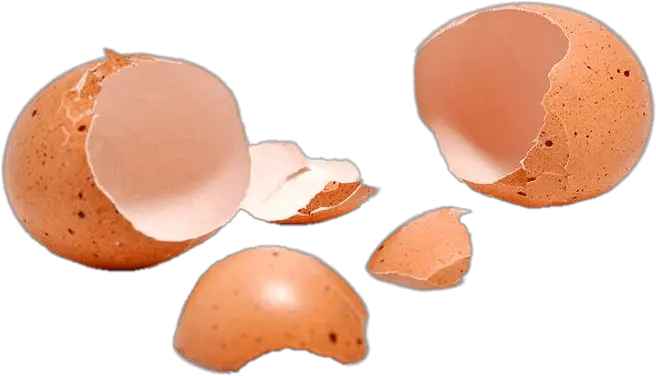  Two Cracked Eggshells Transparent Png Stickpng Cracked Egg Shell Png Cracked Egg Png