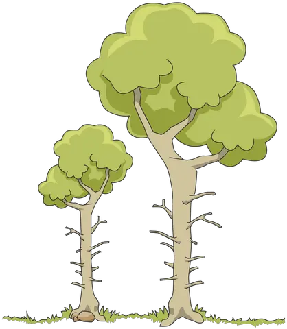  Two Forest Trees Free Svg Dos Árboles En El Bosque Png Forest Trees Png