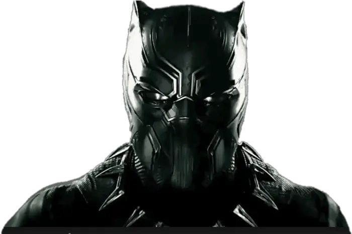  Black Panther Head Transparent Png Superhero Black Panther Head Panther Transparent