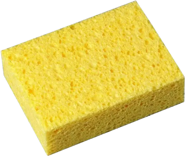  90 Sponge Png Images Are Available For Sponge Png Sponge Png