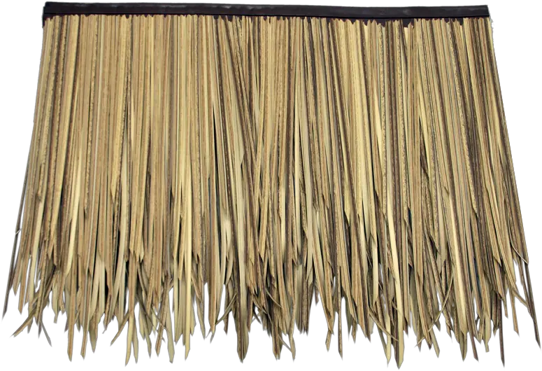  Baja Palm Thatch 3 Layer Subpanel 31u201dl X 24u201dh Fire Rated Thatched Roof Texture Png Roof Png