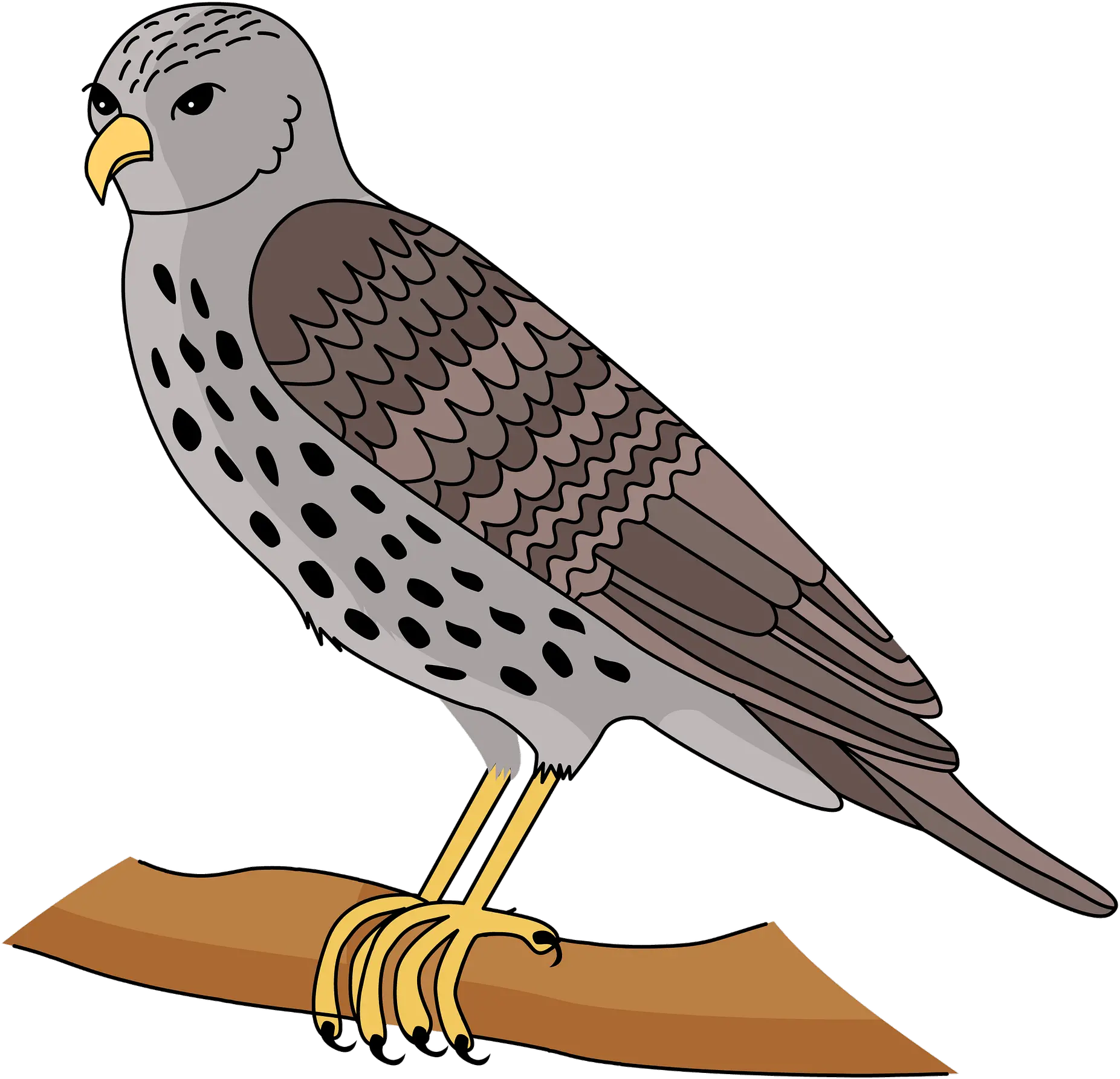  Hawk Clipart Free Download Transparent Png Creazilla Hawk Clipart Hawk Png