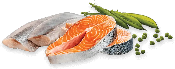  Crave With Protein From Salmon U0026 Ocean Fish Fish Slice Png Ocean Fish Png