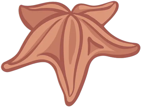  Color Estrella De Mar Dibujo Png Starfish Transparent