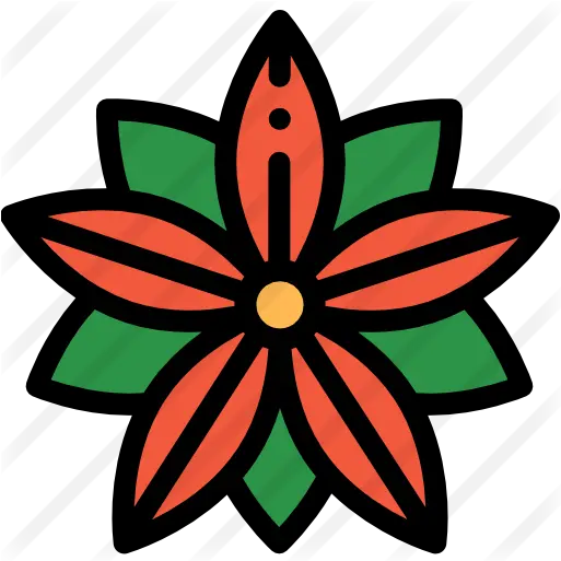  Poinsettia Floral Png Poinsettia Icon Png