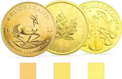  Golden Gates Golden Coins Png Coin Transparent