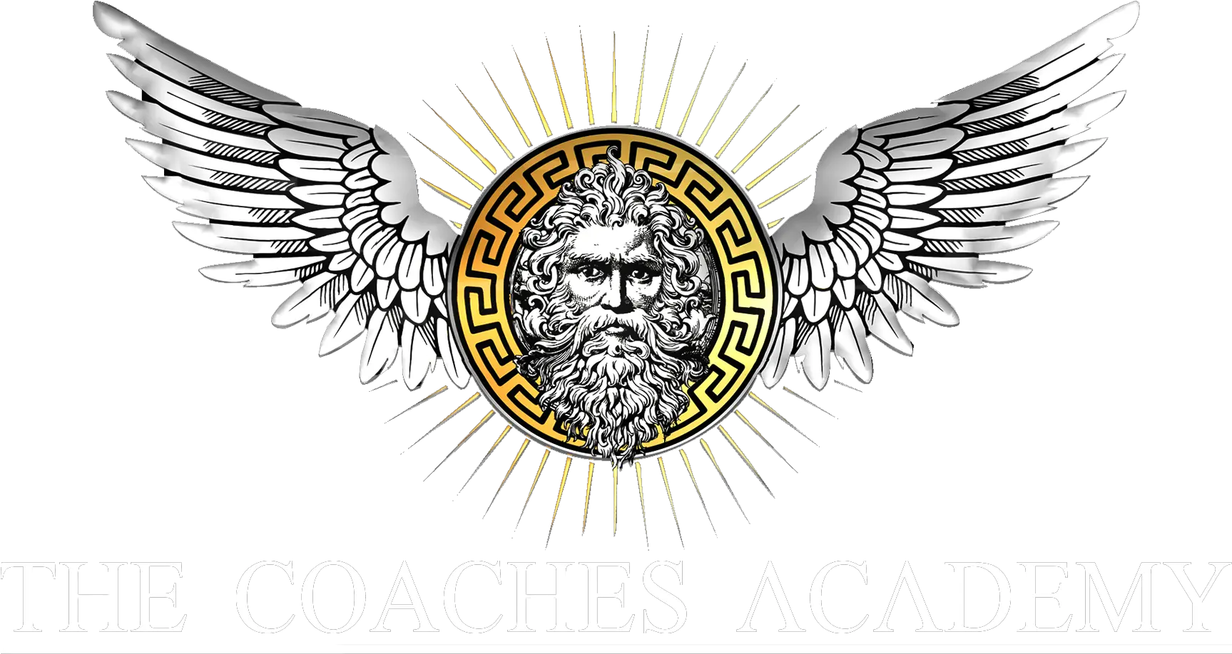  The Titans Academy Business Mentor U0026 Coaching Perth Png Logo Transparent