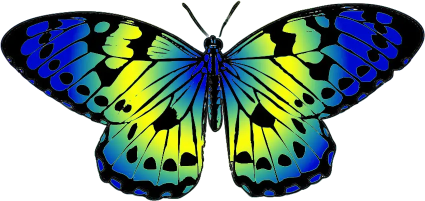  Butterfly Clipart Colorful Butterflies Clip Art Png Art Clipart Png