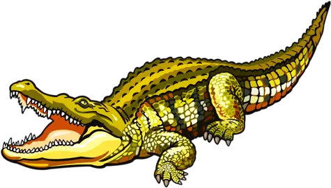  Crocodile Nile Crocodile Clipart Png Crocodile Png