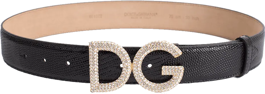  Iguana Dg Crystal Logo Belt Png Dolce And Gabbana