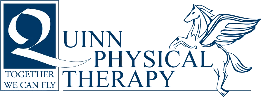  Quinn Physical Therapy Quinn Physical Therapy Logo Png Therapy Logo