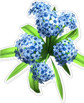  Blue Hydrangea Bouquet Png Hydrangea Png