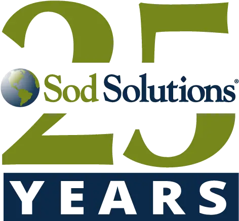  25 Yearanniversarylogo Sod Solutions Graphic Design Png Anniversary Logo