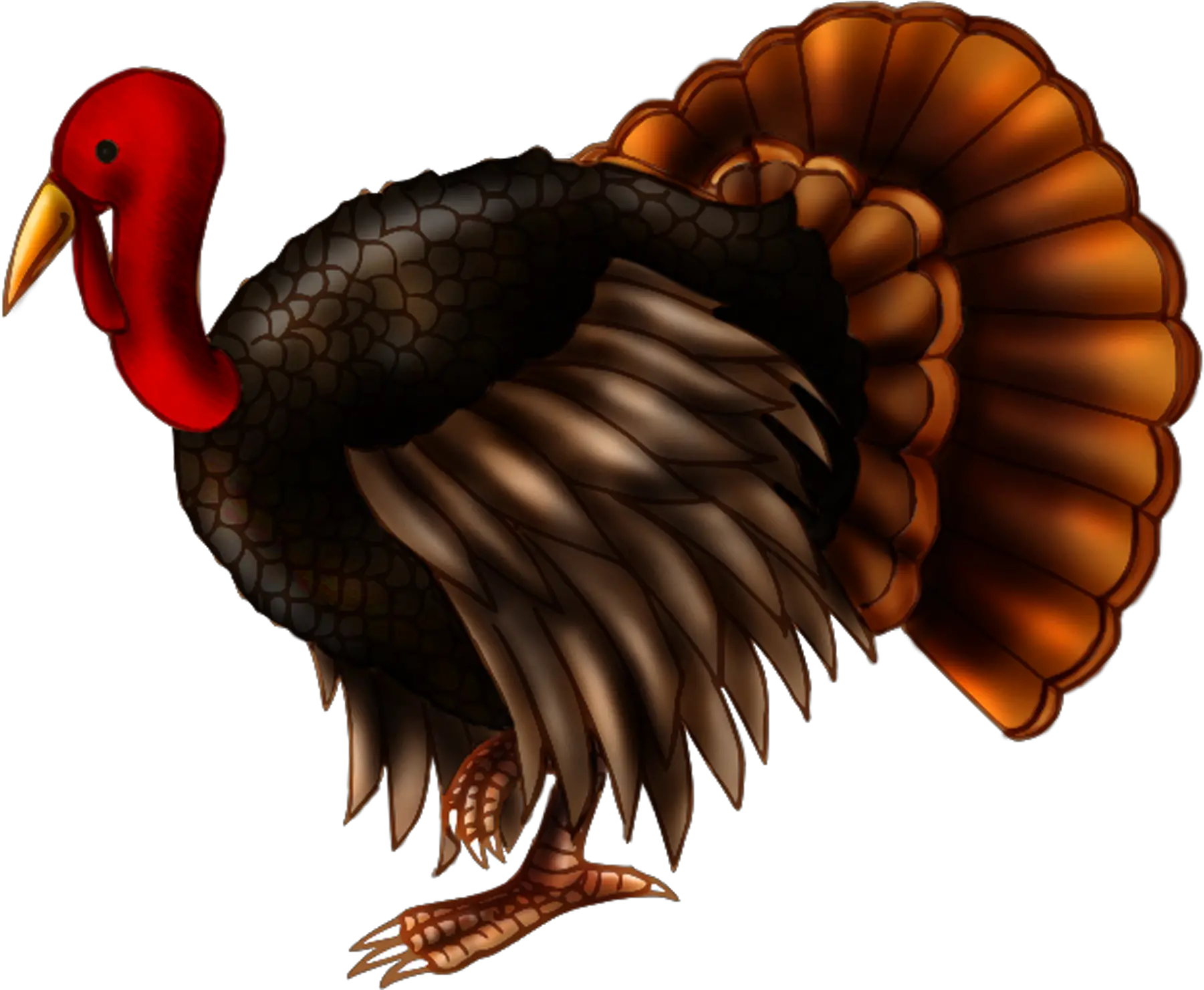  Library Of Realistic Turkey Clipart Royalty Free Stock No Turkey With Clear Background Png Turkey Clipart Transparent Background