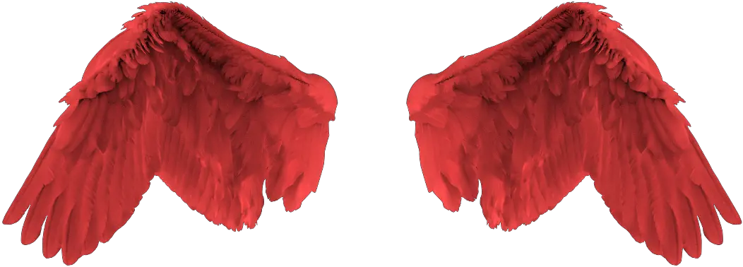  Download Red Angel Wing Png Image With No Background Red Angel Wings Png Wing Png