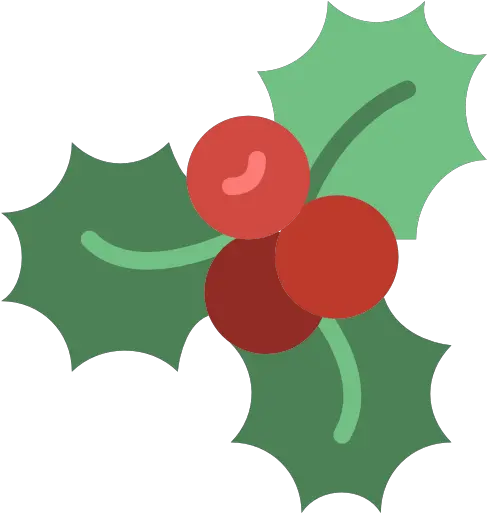  Mistletoe Christmas Phoradendron Tomentosum Plant Flora For American Holly Png Flora Icon