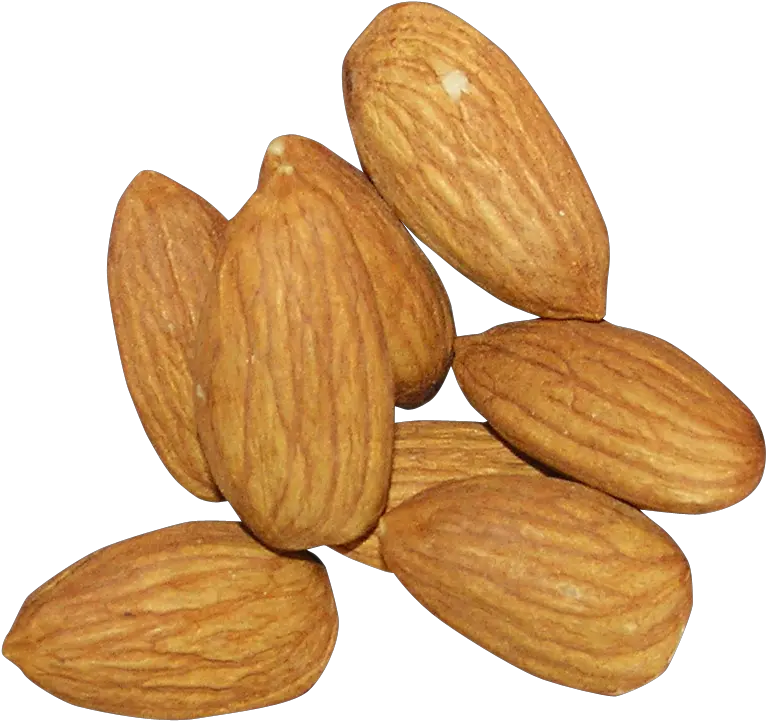  Download Free Nut Almond Png Hq Icon Favicon Kacha Badam Png Almonds Icon